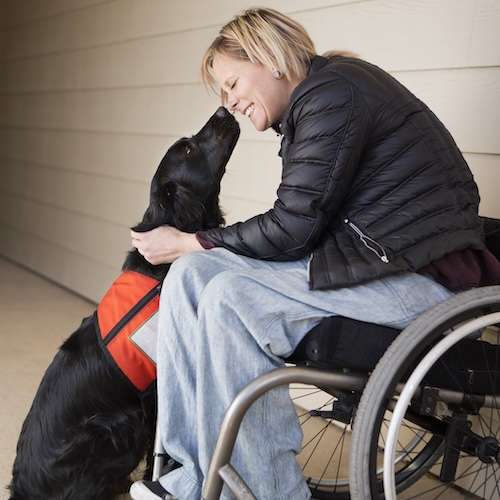 Partnership | a mature woman wheelchair user with her service do 2023 11 27 05 01 04 utc